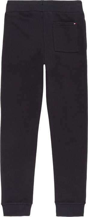 Actual product image Tommy Hilfiger Sweatpants (176)