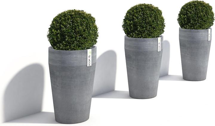 Actual product image Ecopots Sankara