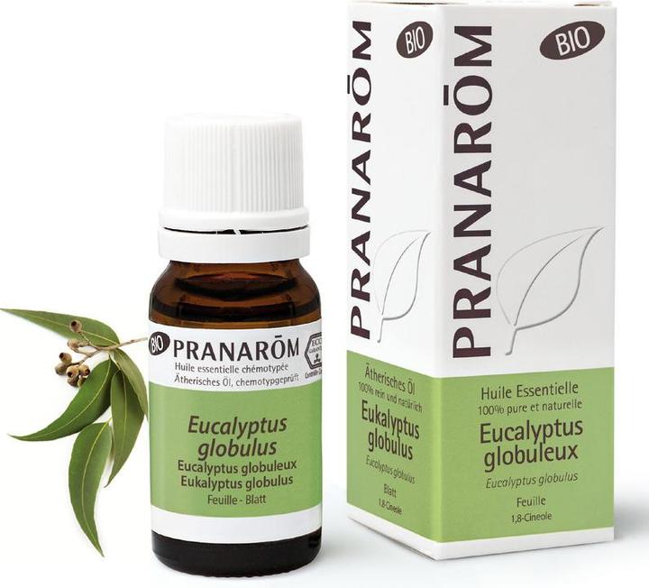 Produktbild Pranarom Eukalyptus Globulus Bio - Ätherische Öle zur Diffusion