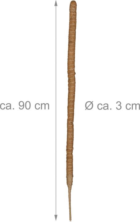 Immagine prodotto Relaxdays 5x bastoncini di cocco (3 cm, 3 cm)