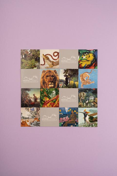 Produktbild Im Dschungel / In the Jungle (Deutsch, Englisch)