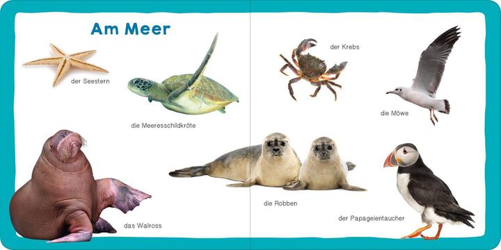 Produktbild Meine ersten 100 Tiere (Deutsch, 2018)