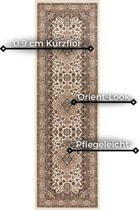 Immagine prodotto Hanse Home Parun Tabriz (250 x 80 cm)