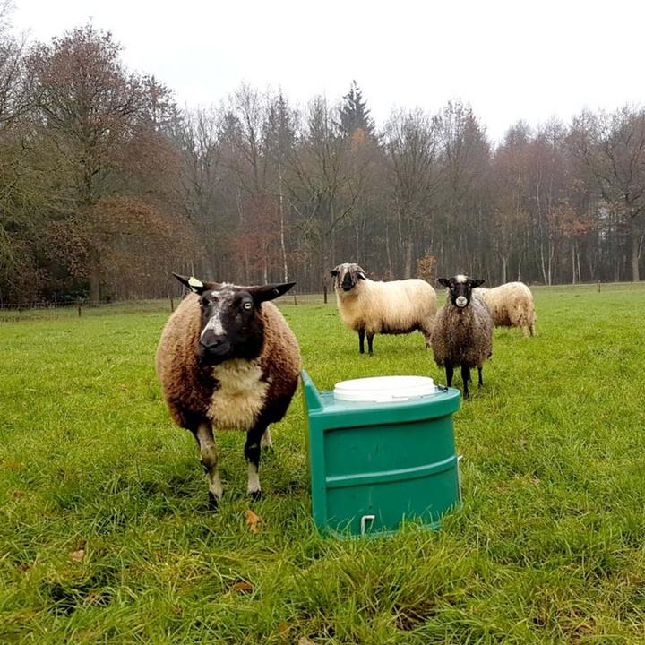 Actual product image JFC Thermal bucket thermal drinker