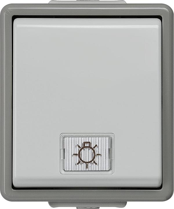 Actual product image Siemens Off Switch, 10A 250V 66X75mm, With Lamp