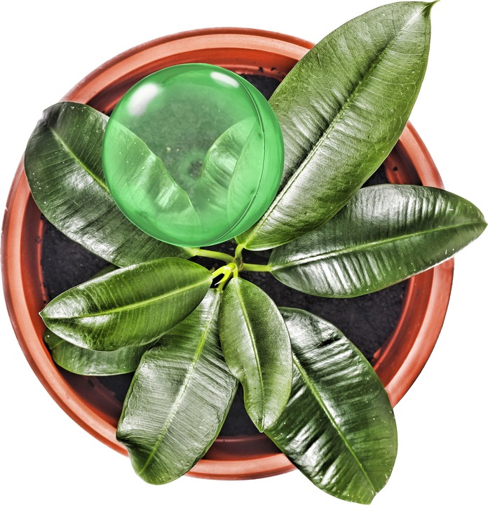 Actual product image Relaxdays 6x irrigation ball (Irrigation balls)