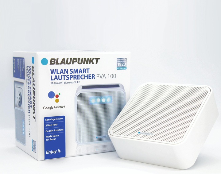 Actual product image Blaupunkt Pva 100 (Electrical connection)