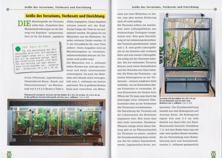Image du produit Taggeckos 13. Der Türkisblaue Zwerggecko (Allemand, Beate Röll, 2021)