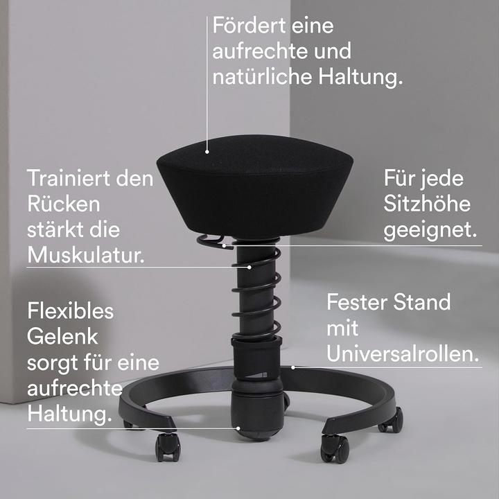 Image du produit Aeris Ergonomischer Swopper mit Rückenlehne