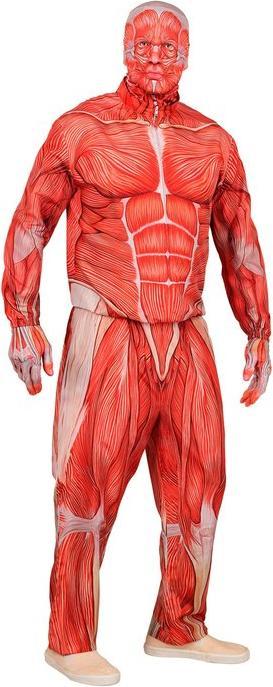 Immagine prodotto Widmann Anañomy Fast Costume (M)