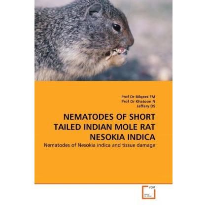 Nematodes Of Short Tailed Indian Mole Rat Nesokia Indica, Fachbücher von Bilqees, Nasira Khatoon, Jaffary