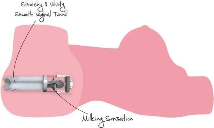 Actual product image Hidden Desire Horny Milking Bitch