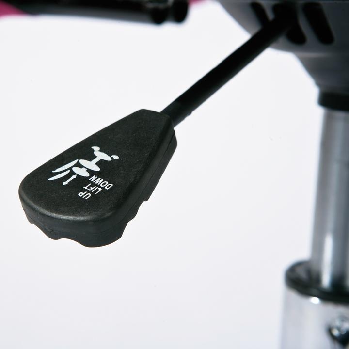 Actual product image Inter Link Bonnie