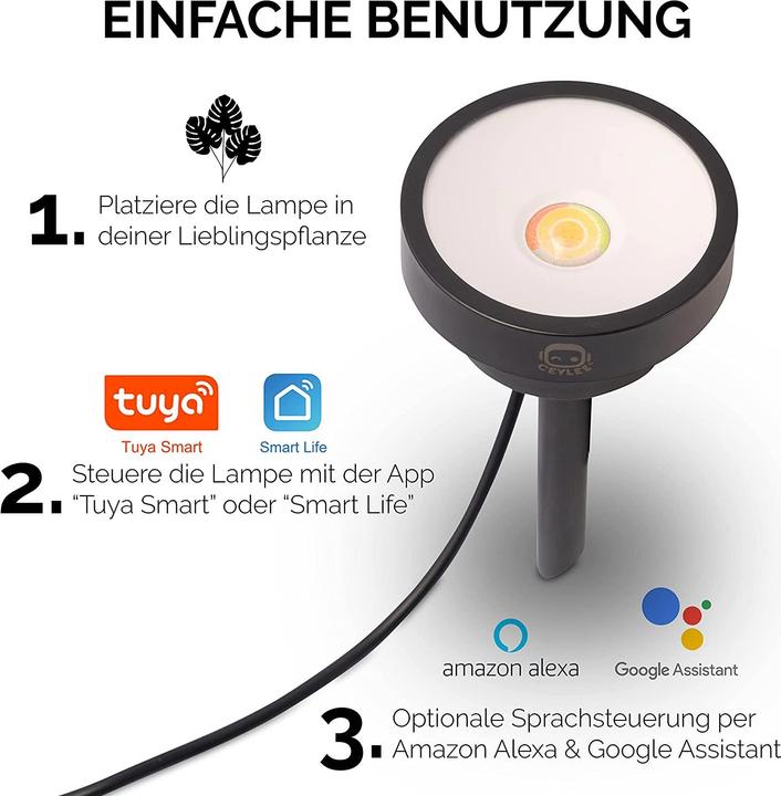 Productafbeelding Ceylee C-01 Plant Spotlight