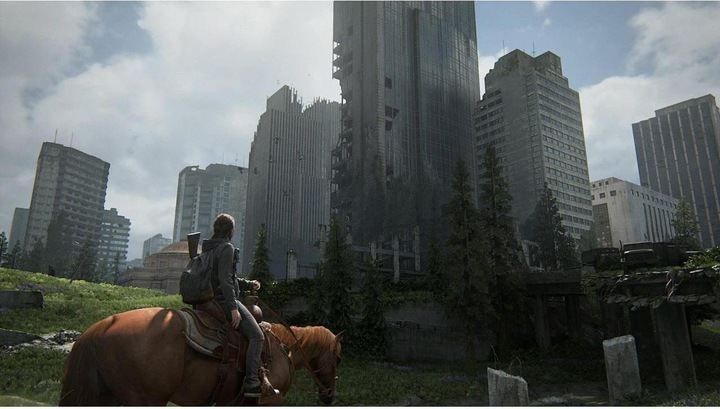Actual product image Sony The Last of Us Part 2 (PS4, DE)