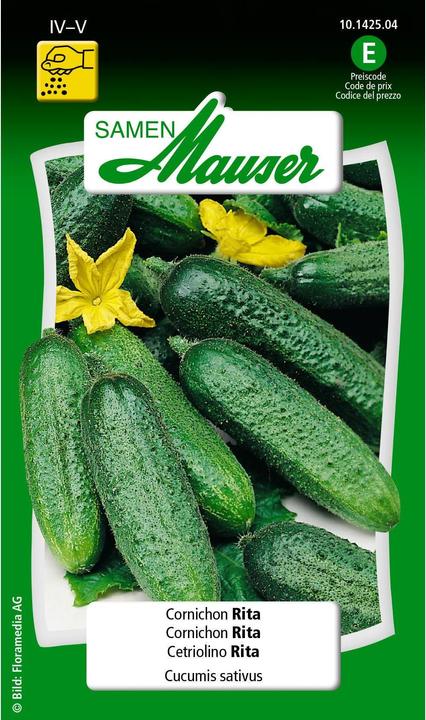 Rita (Vegetable seeds)