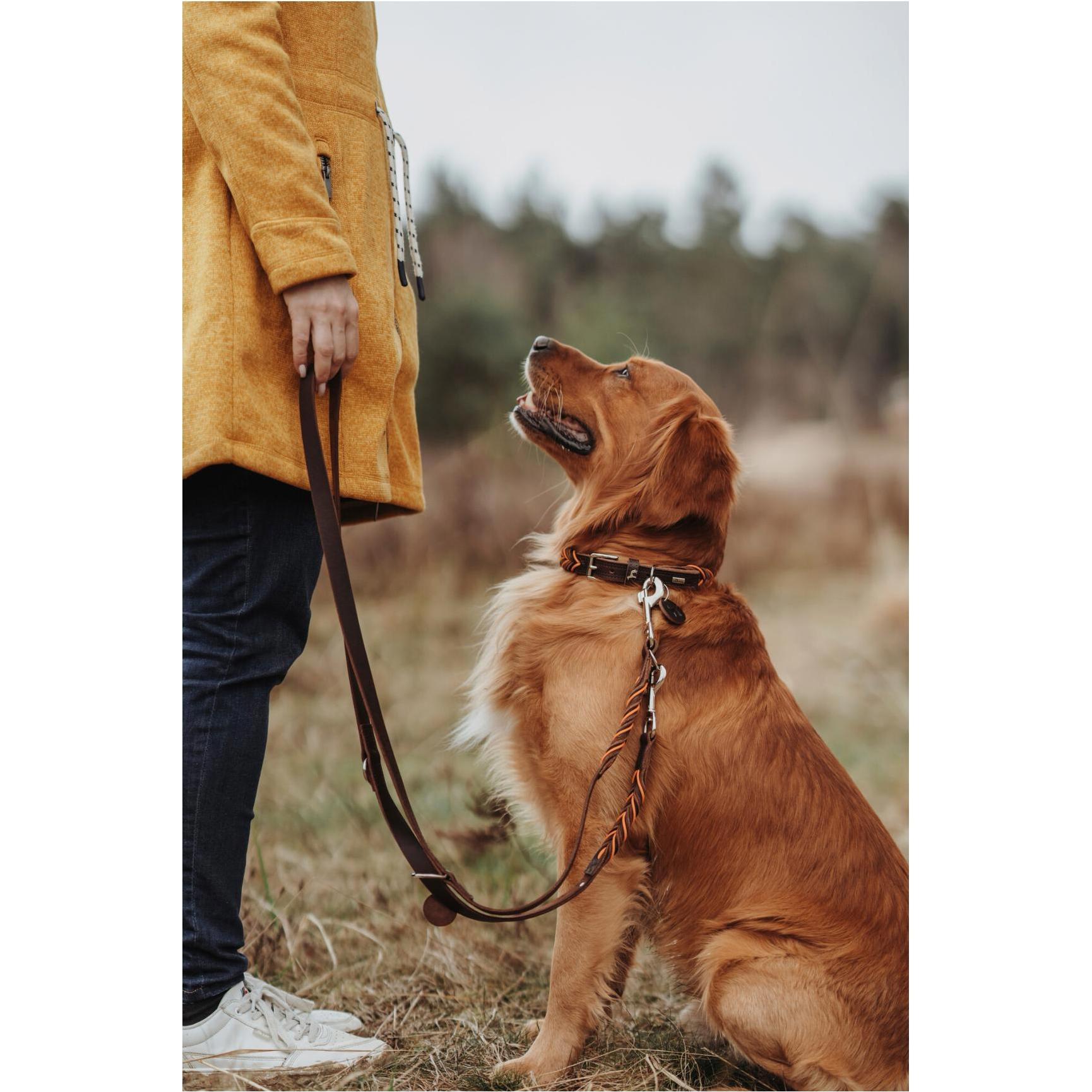 Thumbnail - Hunter Training leash Solid Education Cord 20/200, dark brown/orange - (69325) (Hund, Allgemein), Halsband + Leine