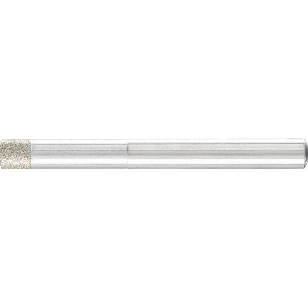 Pferd, Schleifmittel, Schleifstift Diamant Zylinder 6 x mm Schaft Ø D126 zum Schleifen von Bohrungen und Radien Durchmes...