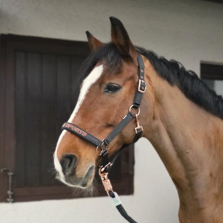 Immagine prodotto Usg Sports