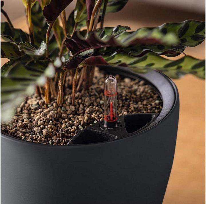 Actual product image Lechuza Classico Colour.