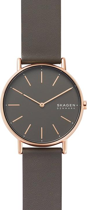 Skagen Signature (Analogue wristwatch, 38 mm)