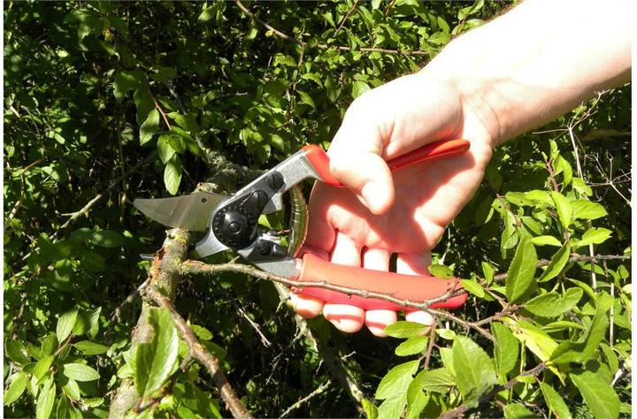 Productafbeelding Felco Tuinschaar 12