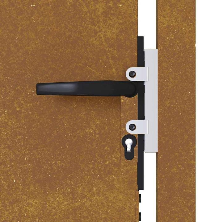 Image du produit vidaXL Gartentor