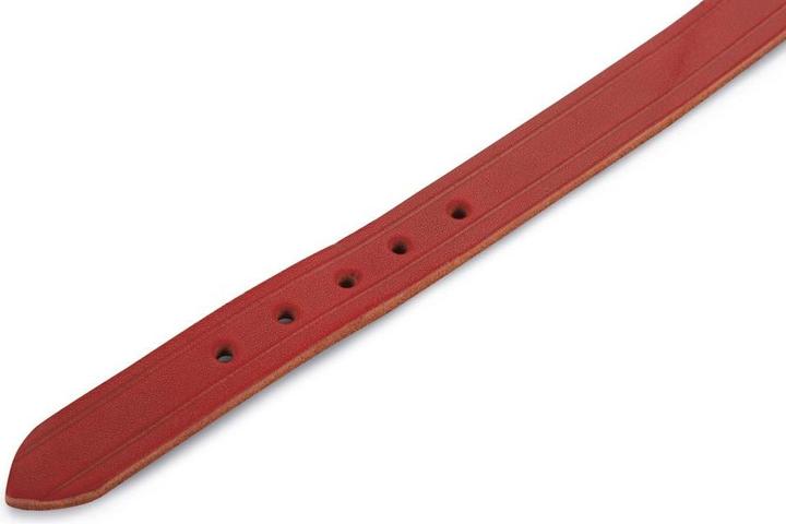 Produktbild Beeztees BZ LEDERHALSBAND ROT 47X18 (47, Hund, Allgemein)