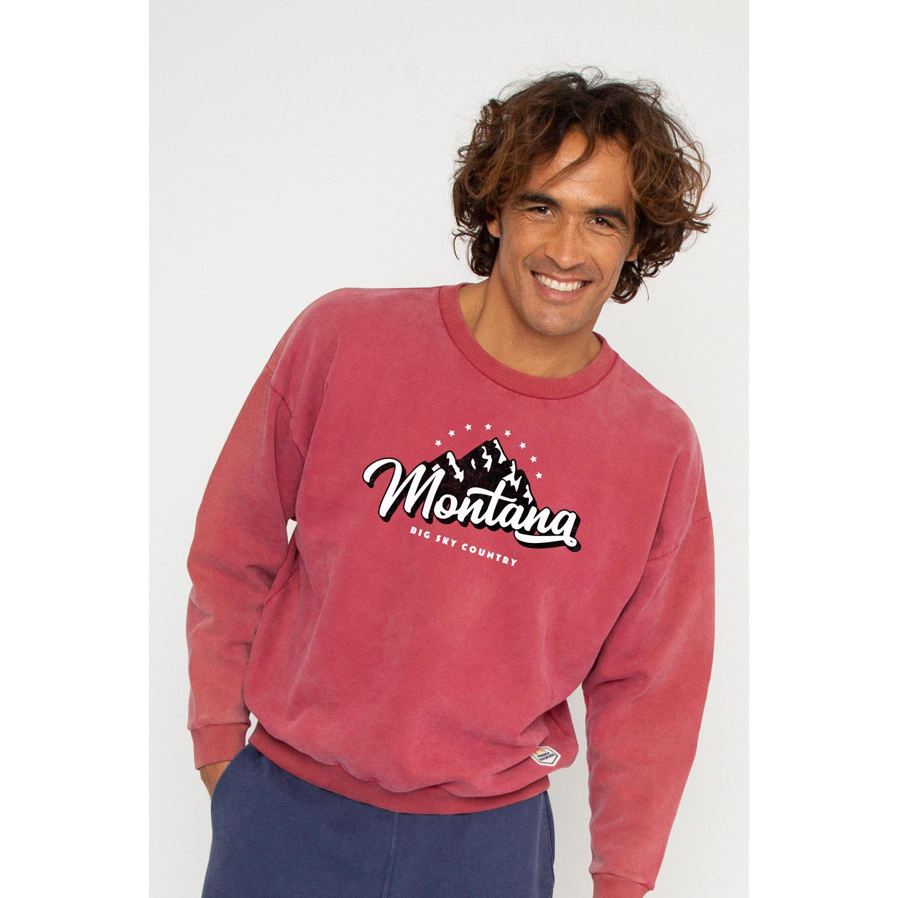 Thumbnail - French Disorder, Herren, Pullover, sweatshirt brady, Braun, (M)