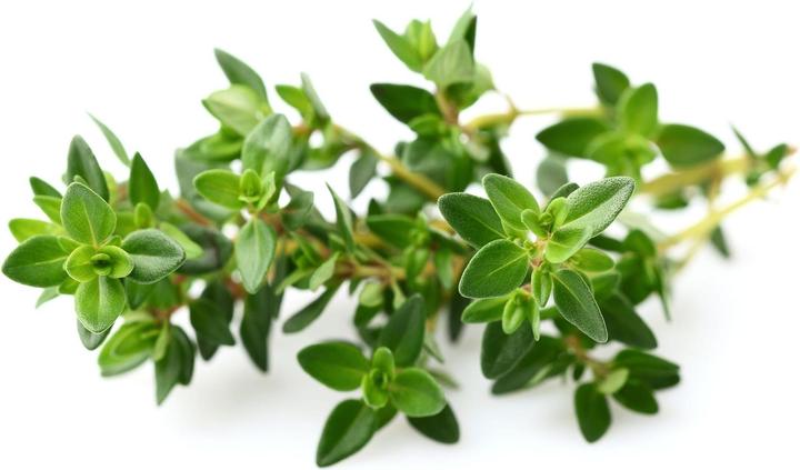Produktbild Click and Grow Thymian (Kräutersamen)