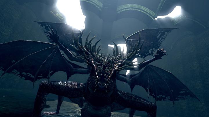 Actual product image Bandai Namco Dark Souls: Remastered (PS4, DE)