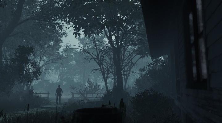 Actual product image Plaion The Evil Within 2 (kh1) (PC, IT)