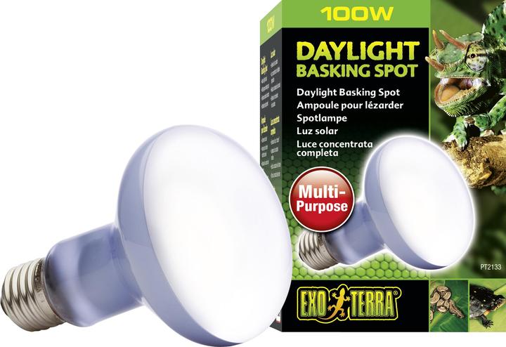 Actual product image Exo Terra Daylight Basking Spot (UVA)