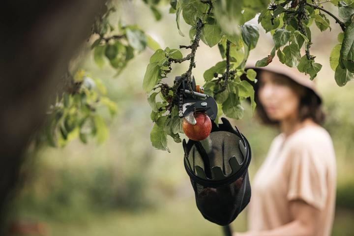 Image du produit Fiskars Cueilleur de fruits