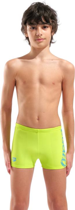 artic lime