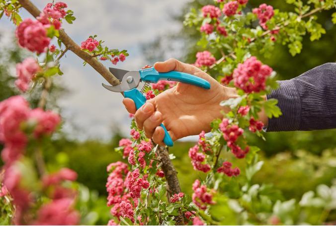 Actual product image Gardena Gartenschere EasyCut