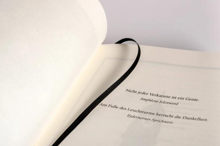 Actual product image Die Insel der tausend Leuchttürme (German, Walter Moers, 2023)