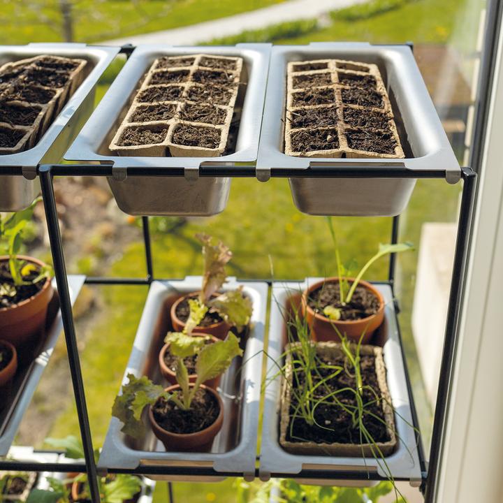 Produktbild Bellissa Anzuchtwanne FILo (2er Set)