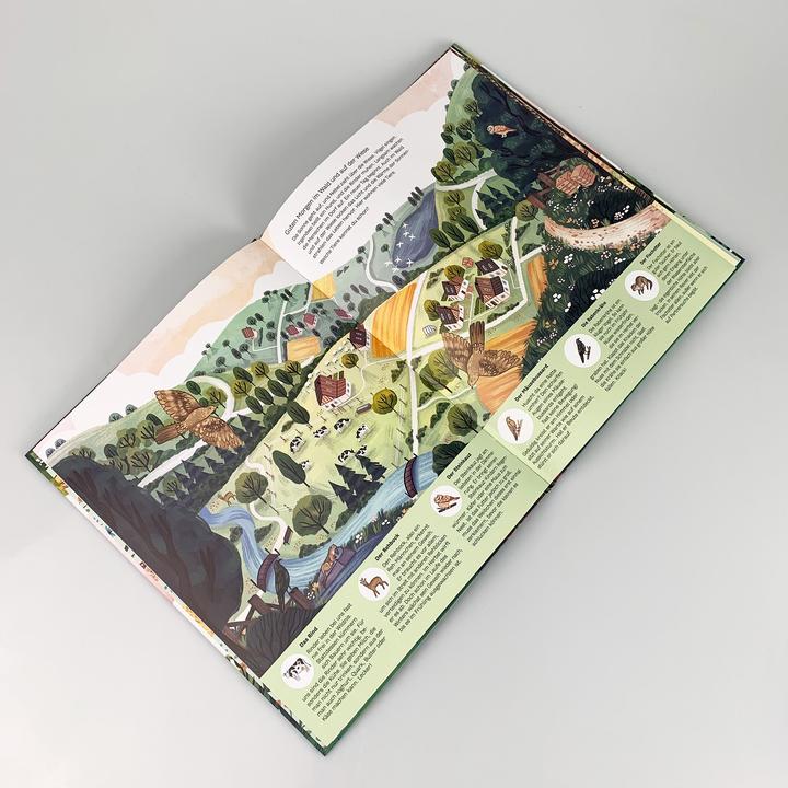 Produktbild Kleine Geheimnisse der Natur - Wald und Wiese (Deutsch, Kaja Kajfež, Stütze & Vorbach, 2022)