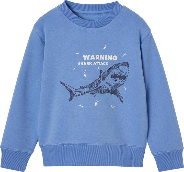 Produktbild Vertbaudet Jungen Sweatshirt BASIC mit Print und Recycling-Polyester (128)