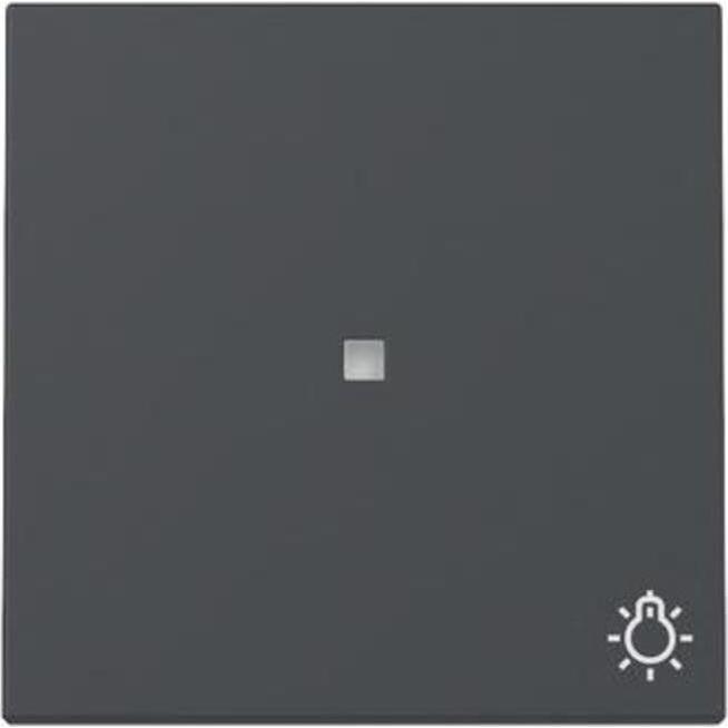 Gira, Zubehör Schalterprogramm, Wippe Kontrollf. + Symb.