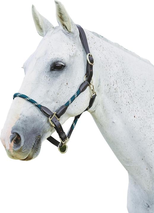 Produktbild Kincade Lederseil Halfter