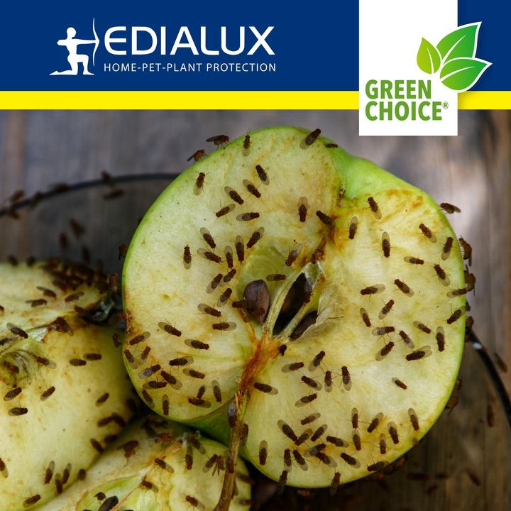 Produktbild Edialux Green Choice - Fruchtfliegenfalle, 2 x 15ml