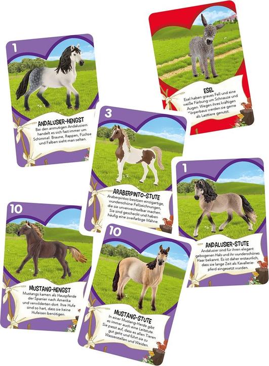 Image du produit Schmidt Spiele Horse Club Couples de chevaux Boîte métal (Allemand)