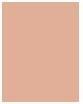 Actual product image Max Factor Facefinity Compact (005 Sand)
