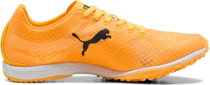 Image du produit Puma evoSPEED Haraka 8 Unisex Spikeless (13)