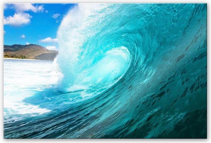 Image du produit Trenddeko Arbre (150 x 100 cm)