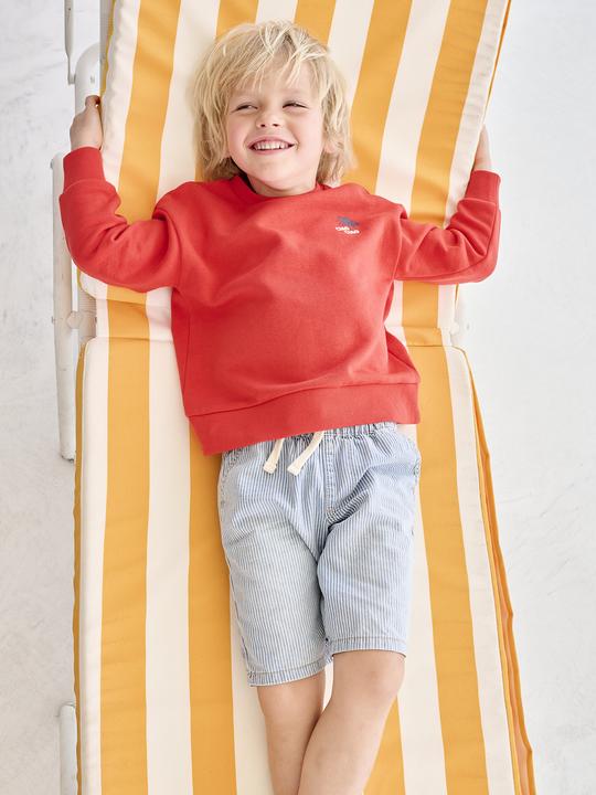 Produktbild Vertbaudet Jungen Sweatshirt mit Urlaubsmotiv hinten, Recycling-Polyester (158, 164)