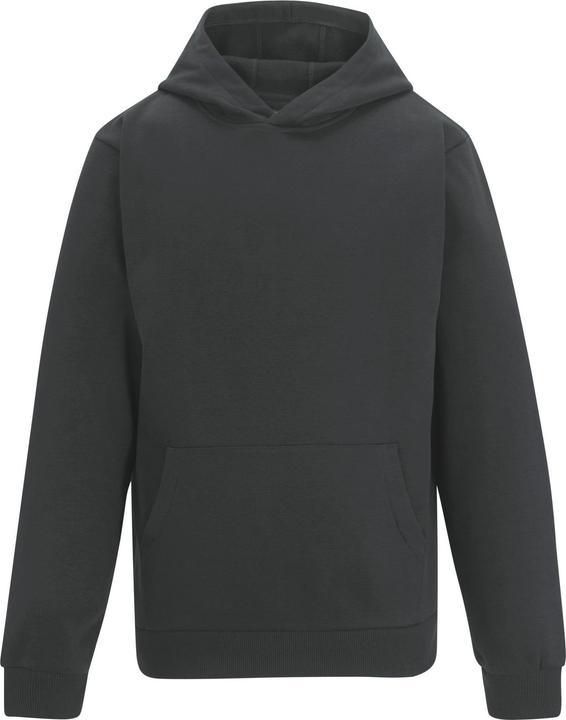 Produktbild Regatta Pro Trade Kapuzenpullover (L)