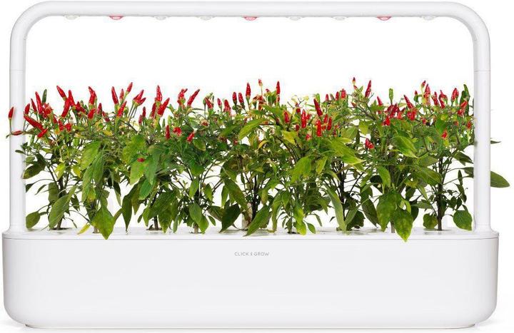 Actual product image Click and Grow Piri piri chilli (Vegetable seeds)